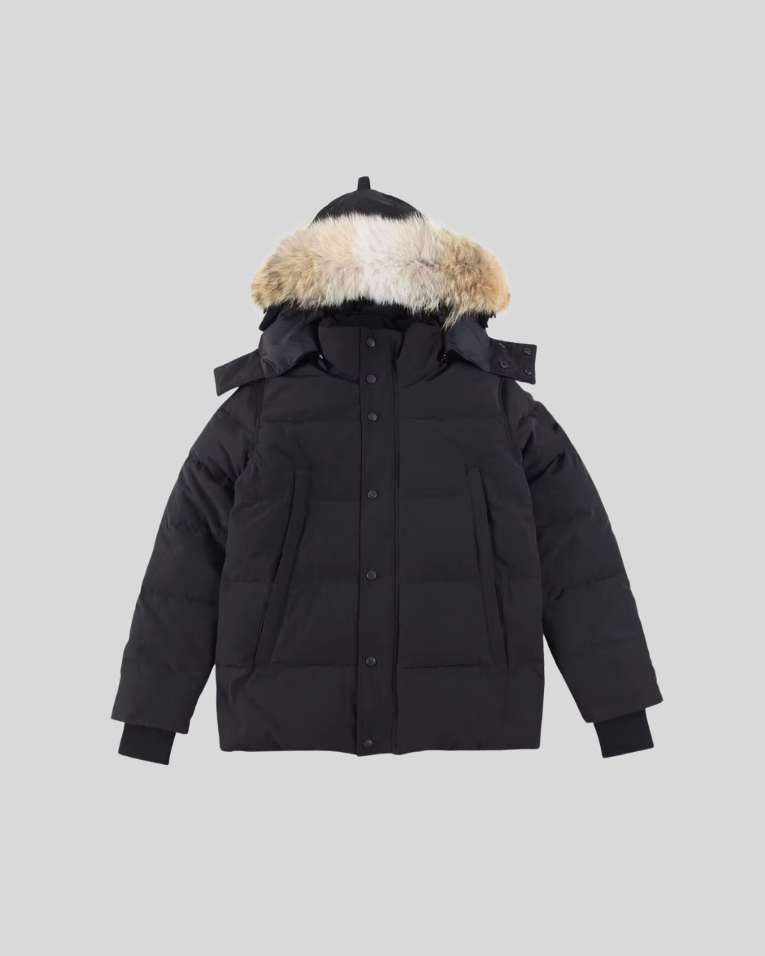 Fortis Miles - Miesten Karvahupullinen Talvitakki